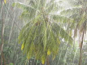 monsoon 